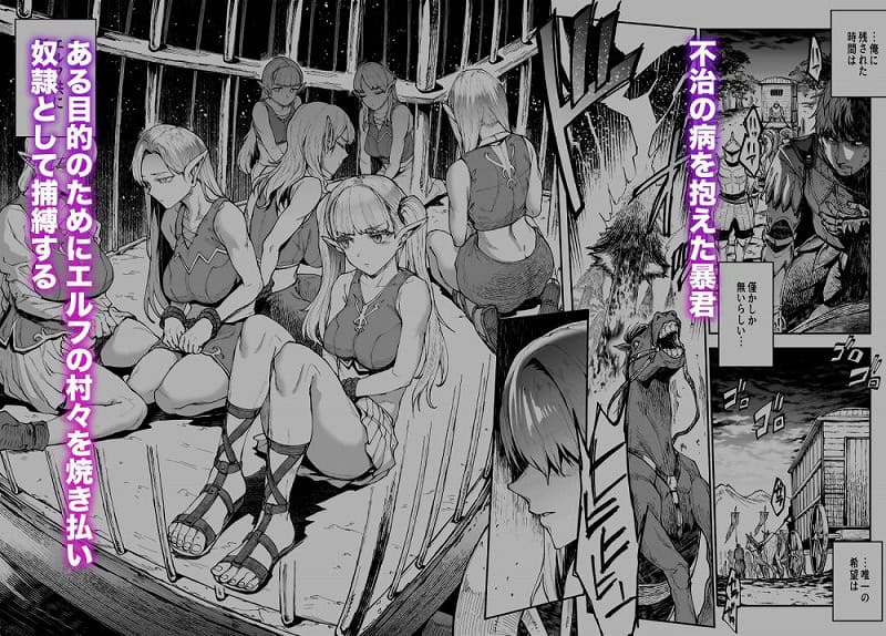 ELVEN BIRTH2