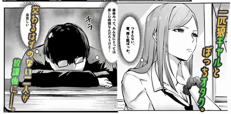 一匹狼ギャルとぼっちオタク、甘くとろける放課後 (2)
