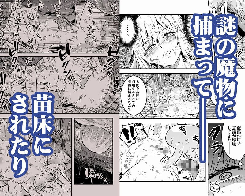 冒険者ちゃんとえっちな冒険5 (2)