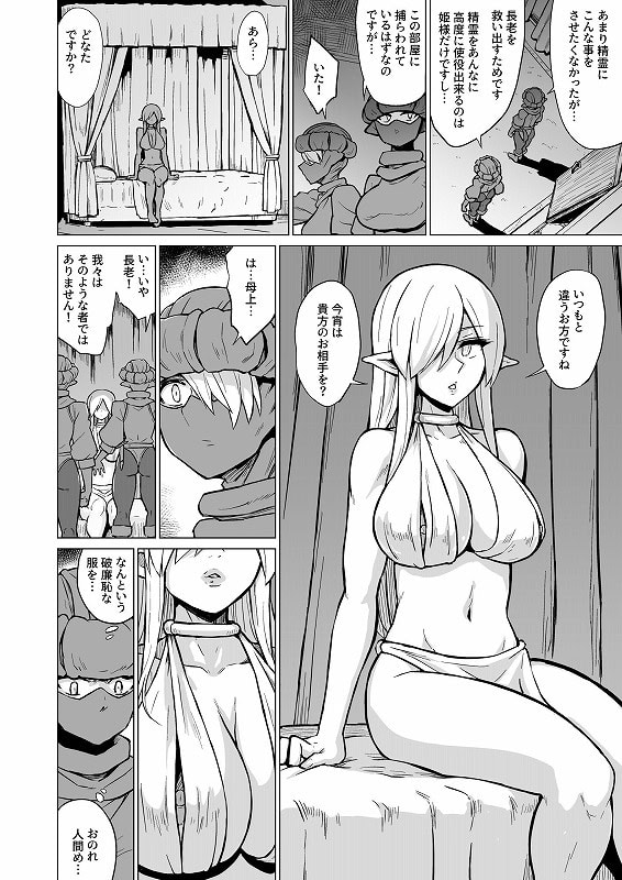 淫欲に狂いしエルフ達の唄22