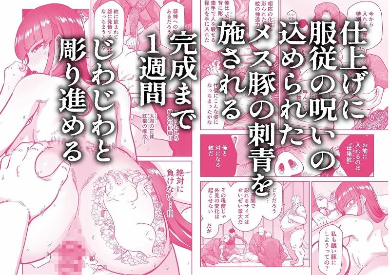 雌豚紋紋4