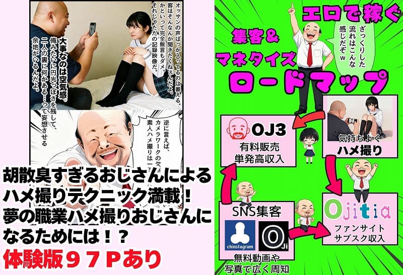 同人AVで月収100万を稼ぐ！ ハメ撮り撮影テクニック大全【淫乱ボーイッシュ編】 (3)
