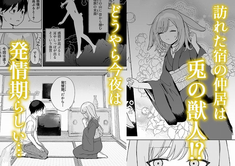 発情うさぎは満月の夜に交尾する1